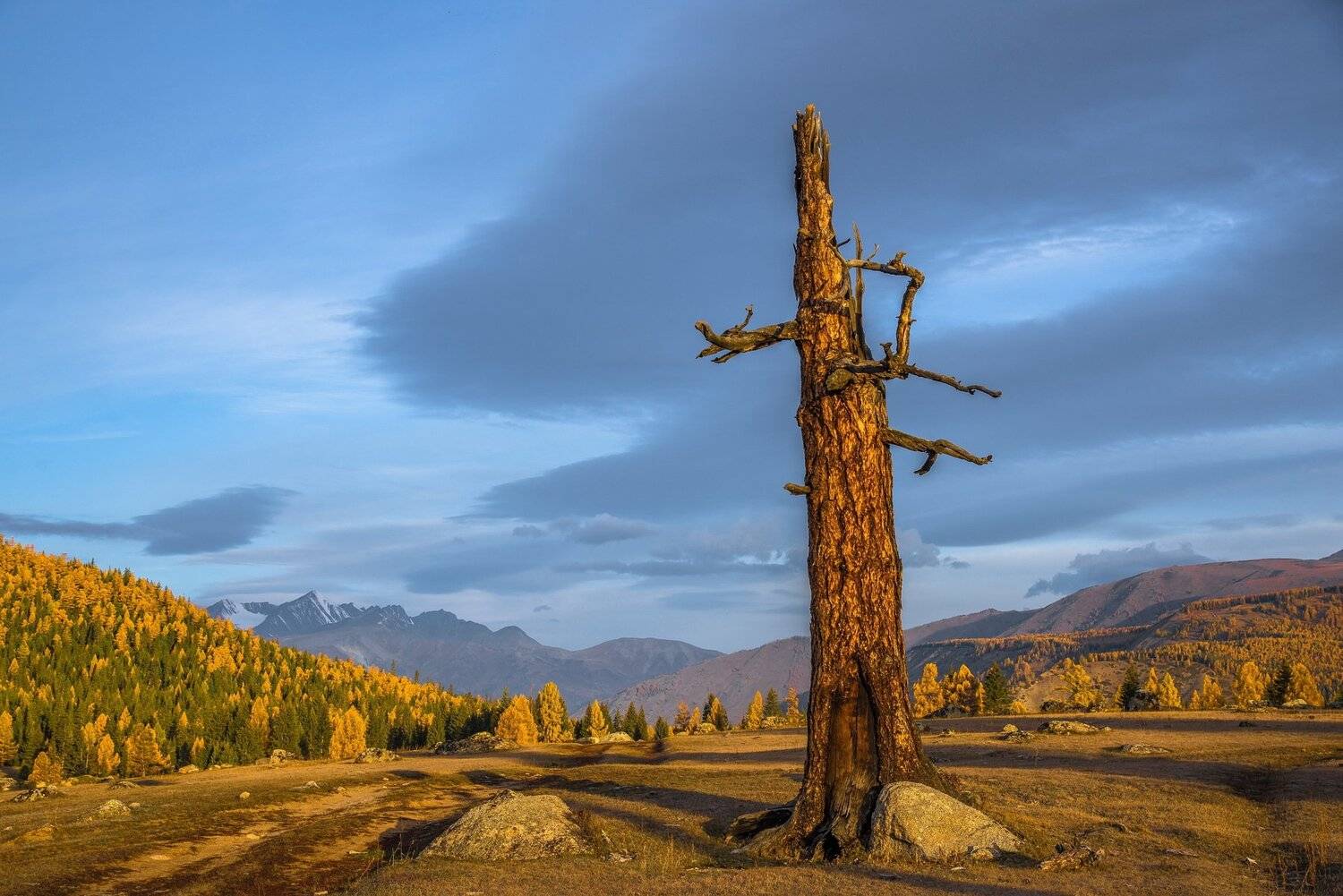 алтай. горы. осень, Евгений Дроботенко