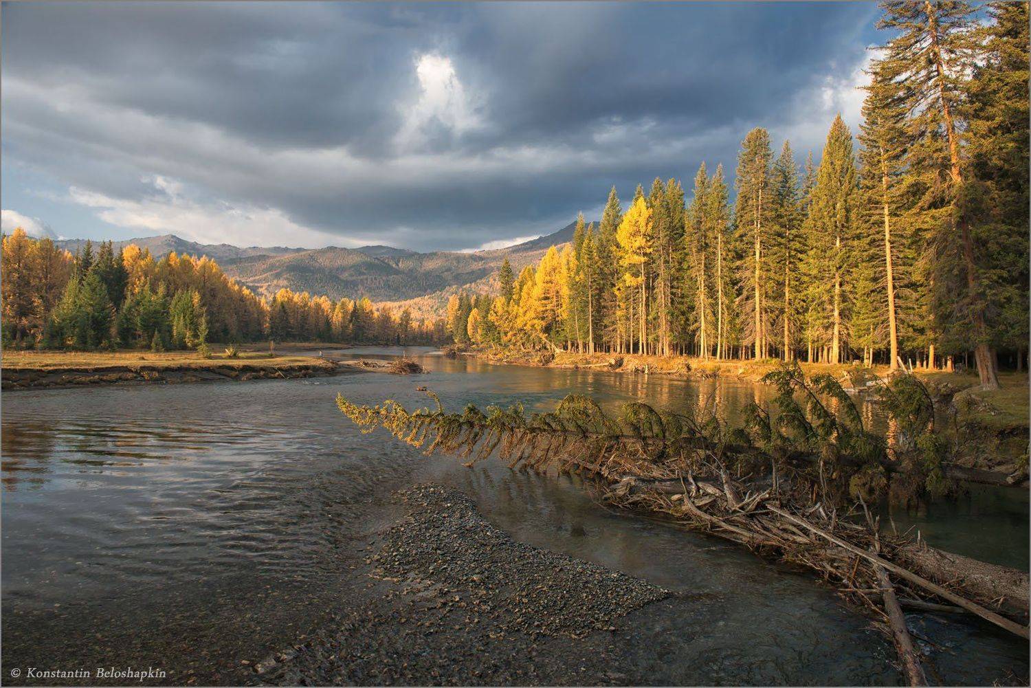 #алтай, #осень, #бытьтам_гдехочется, #река, , #константин_белошапкин, Константин Белошапкин