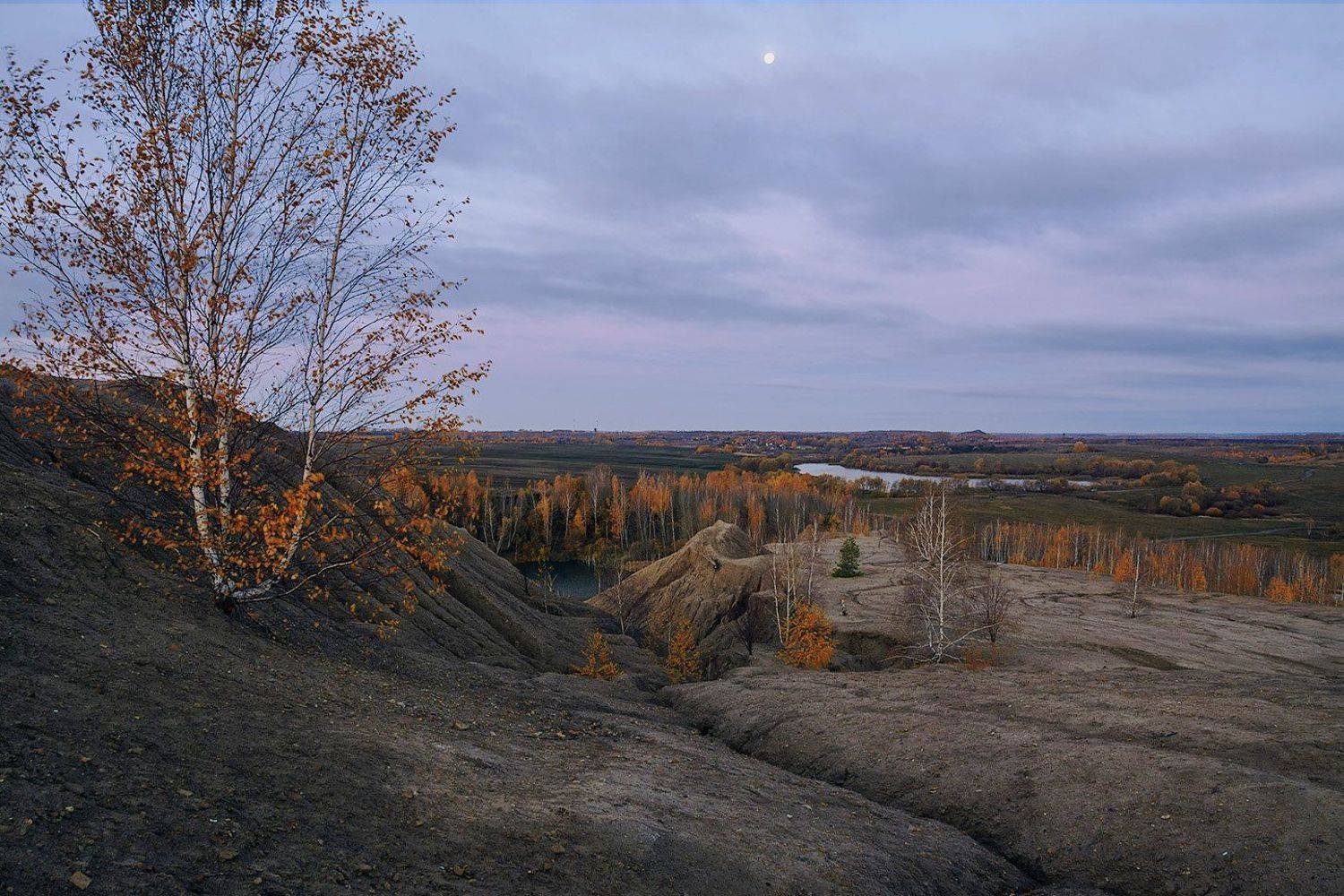 , Анатолий Зверев