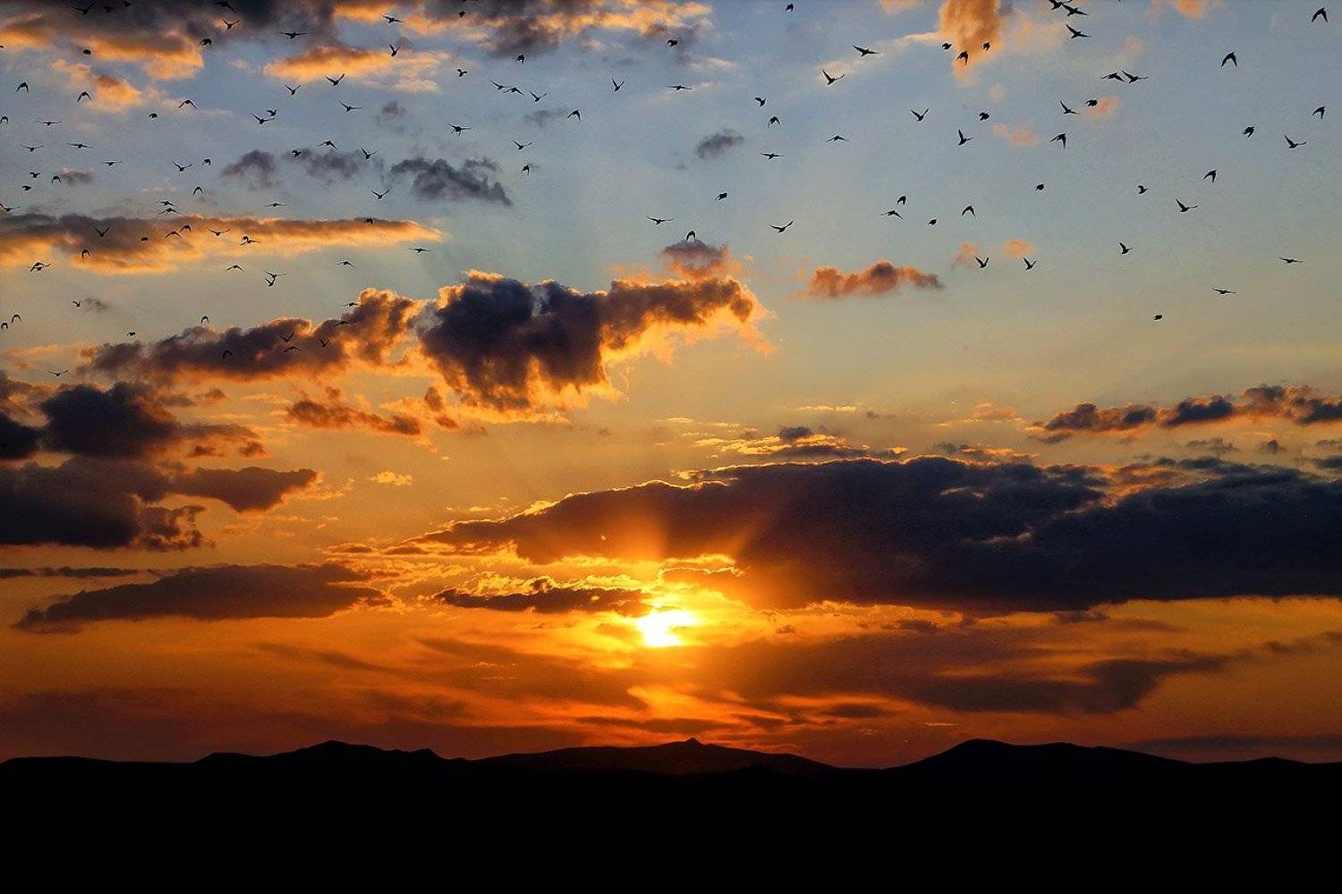 южный, урал, губерля орск, новотроицк, Качурин Алексей