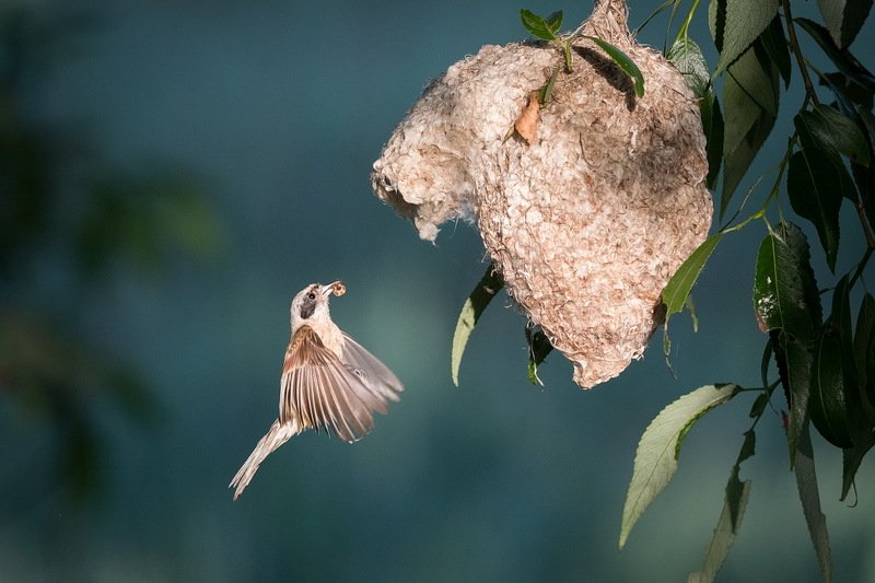 Свет свету рознь. фото превью