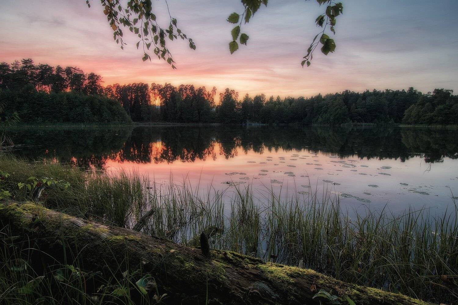 , Федотов Антон