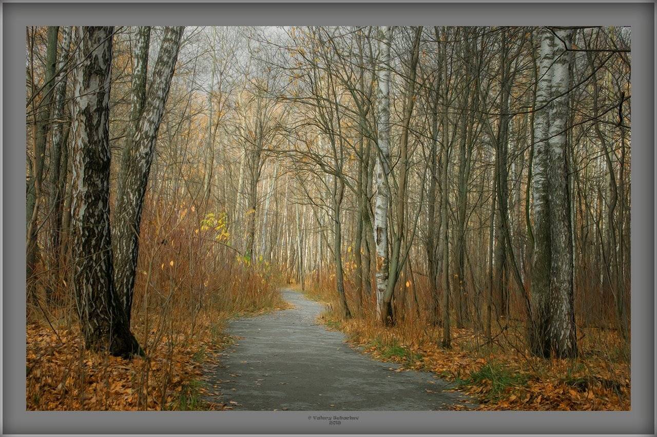 , Валерий Субачев