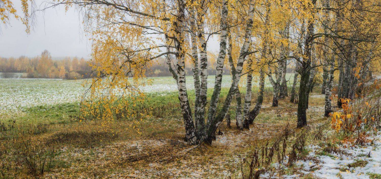 поле осень туман утро снег, Дмитрий Алексеев