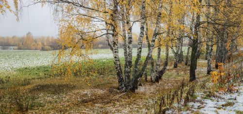 О прелести первого снега