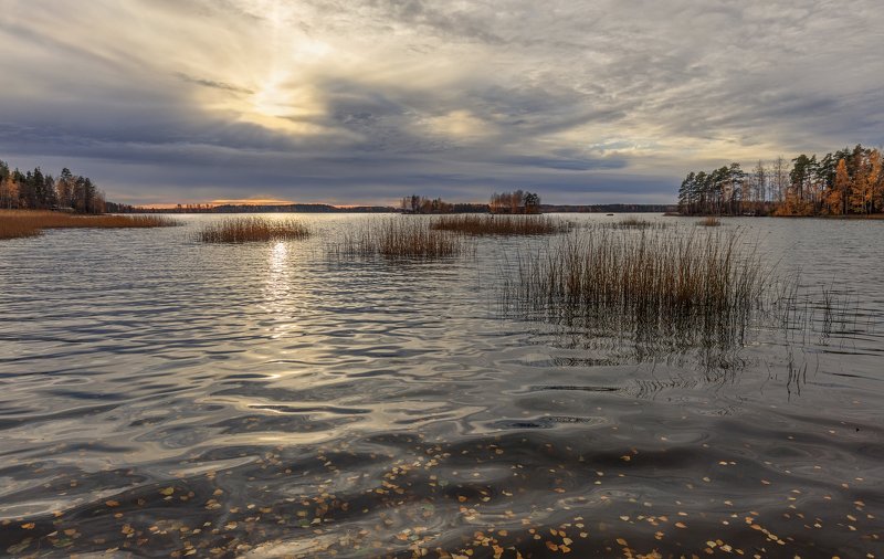 ### фото превью