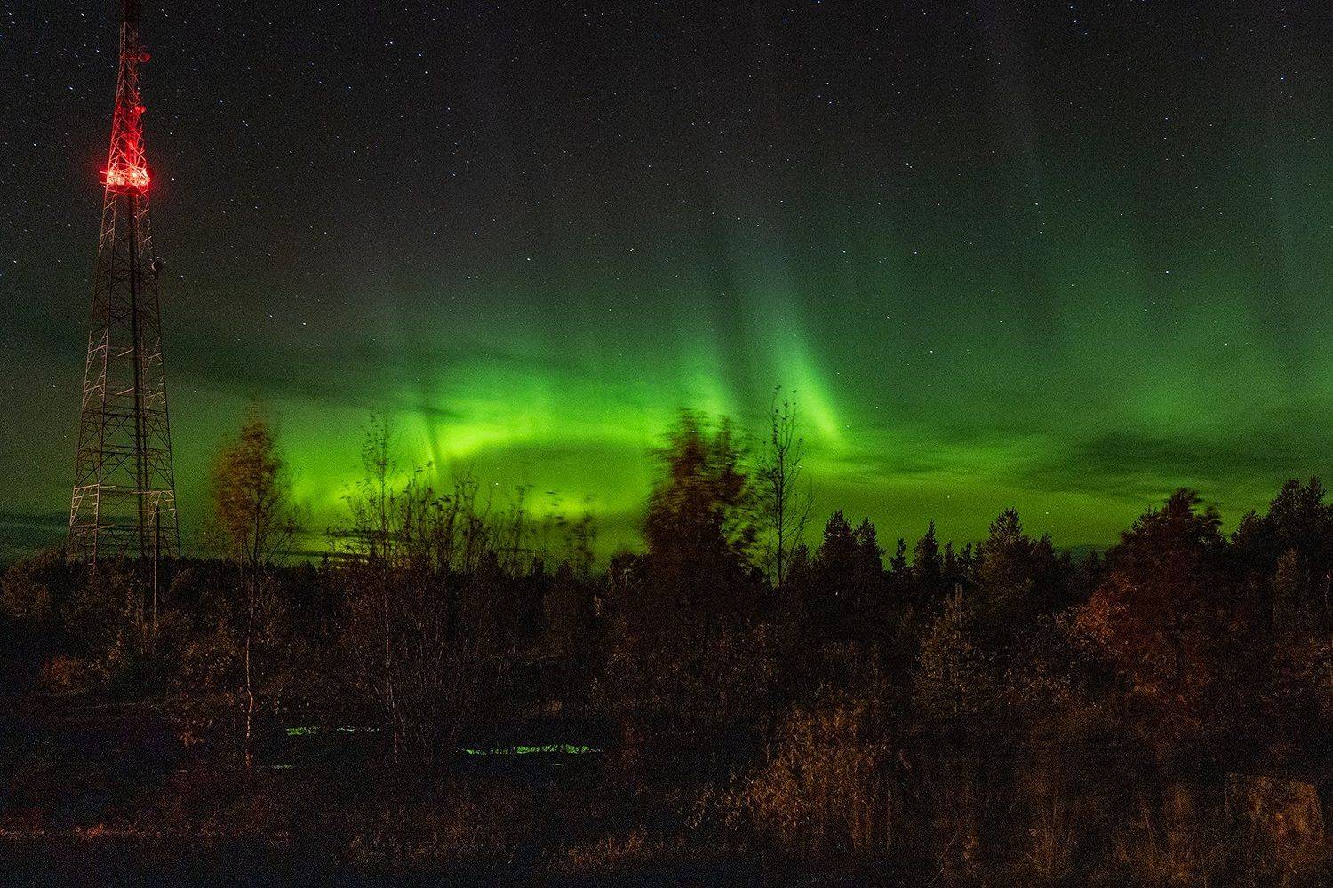 , Нина Богатырева