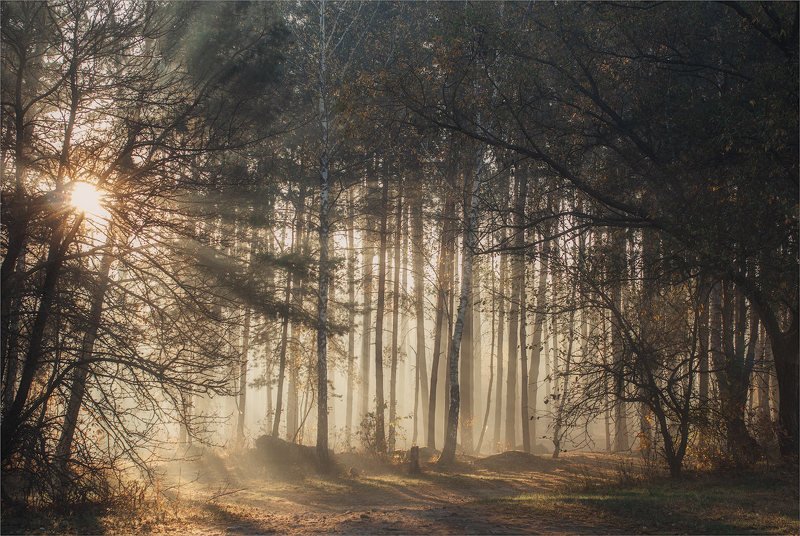 Утренняя песня фото превью