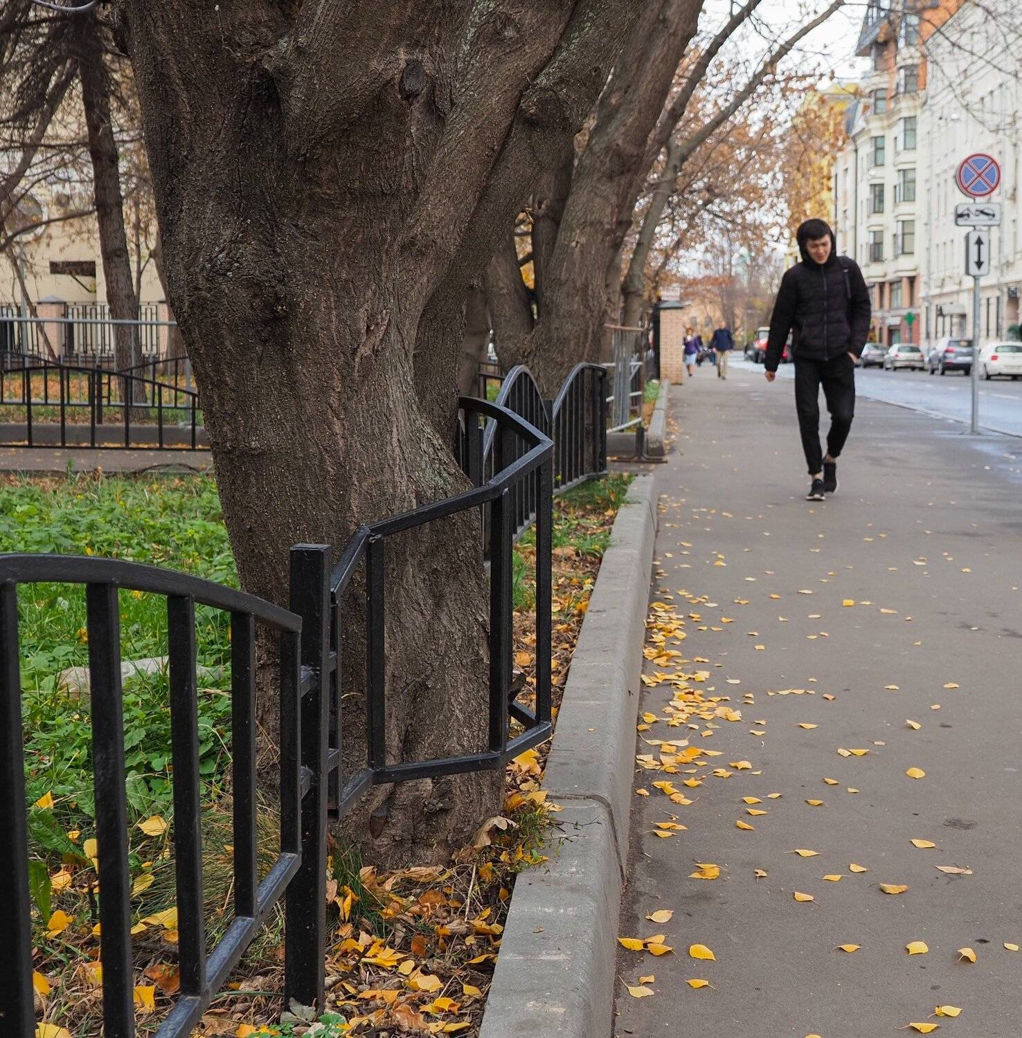 , Курлянцев Алексей