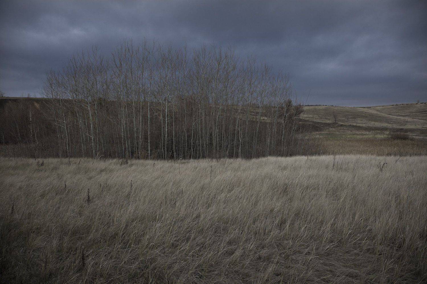 осень, Виктор Кириллов