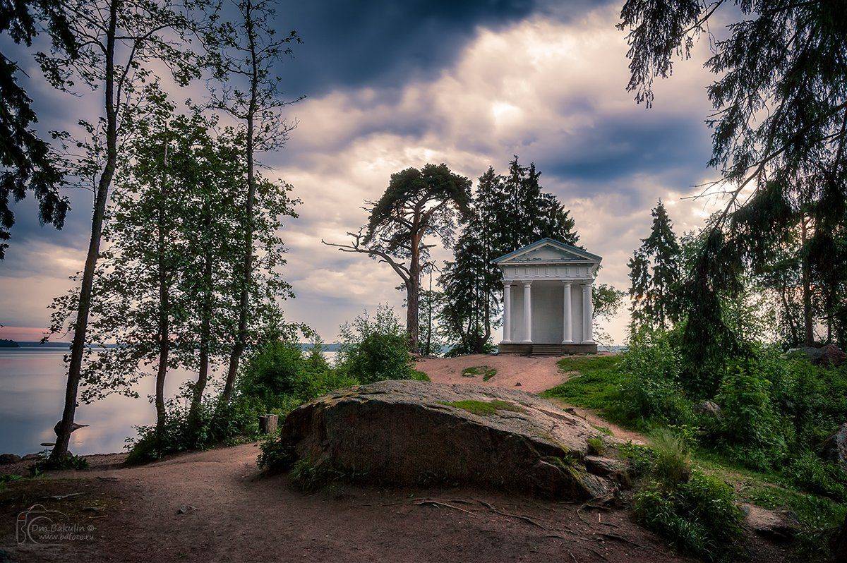 , Дмитрий Бакулин