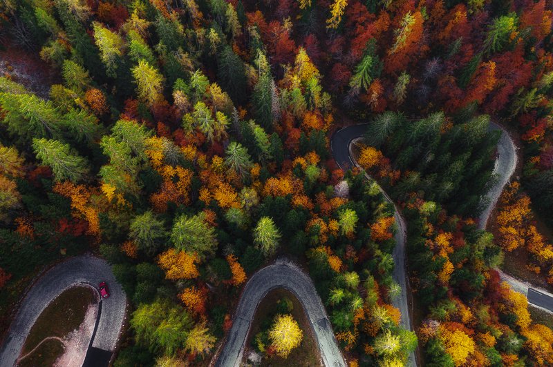Labyrinth of colours фото превью