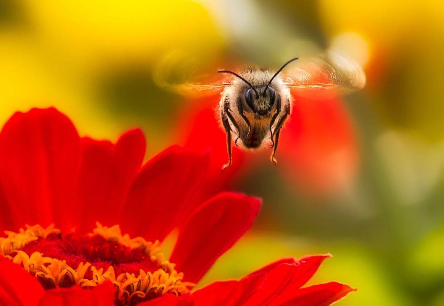 , Татьяна Москальчук