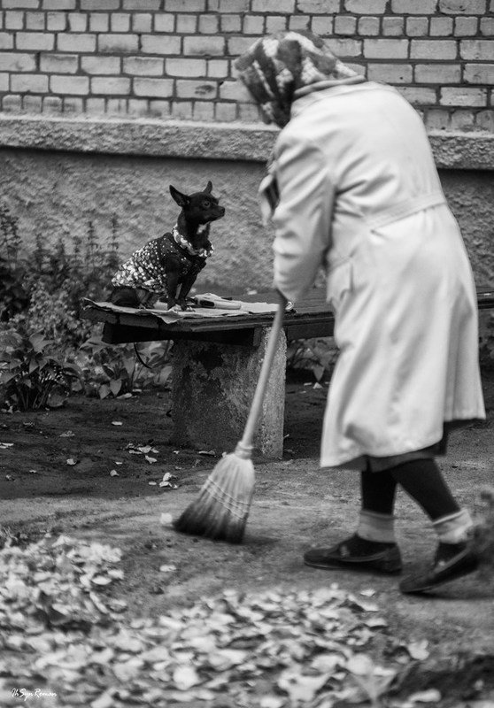 женщина,жанр,улица,собака По городу ... фото превью