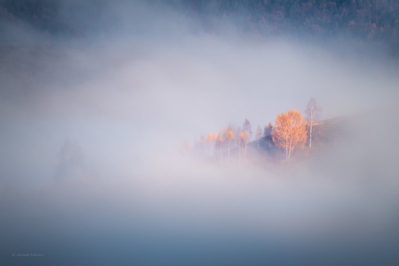 карпаты, осень, пейзаж, утро, рассвет, туман Моря и острова... фото превью