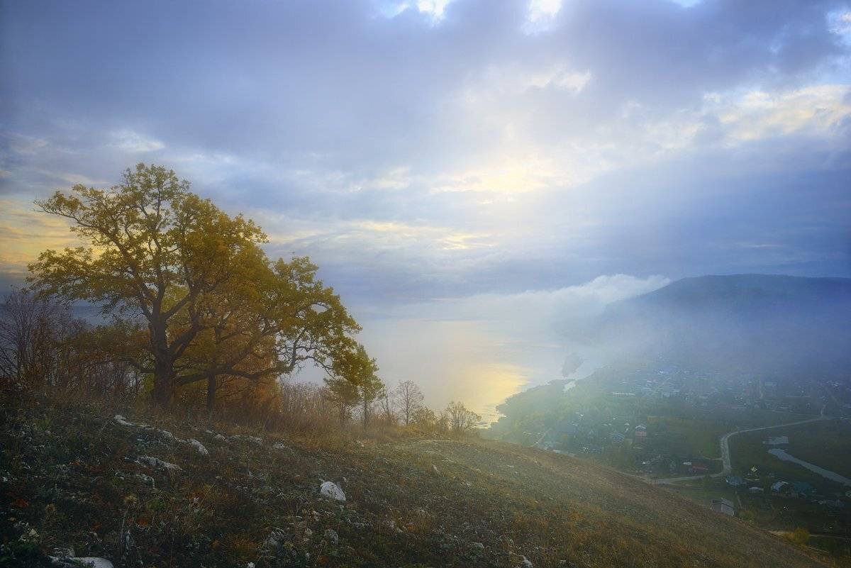 , Александр Тормосин