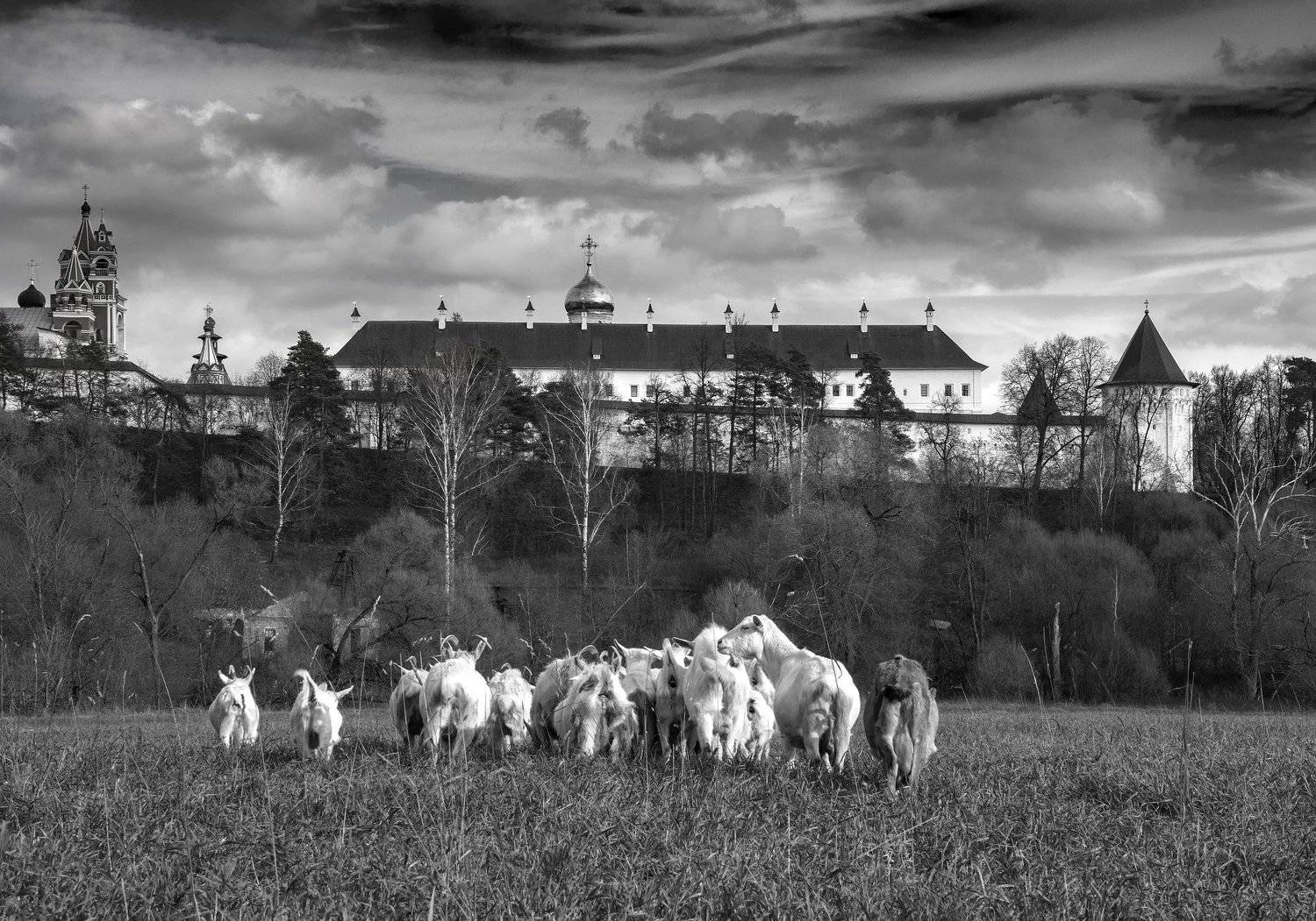 монастырь,осень,козы,россия,подпосковье , Павел Ныриков