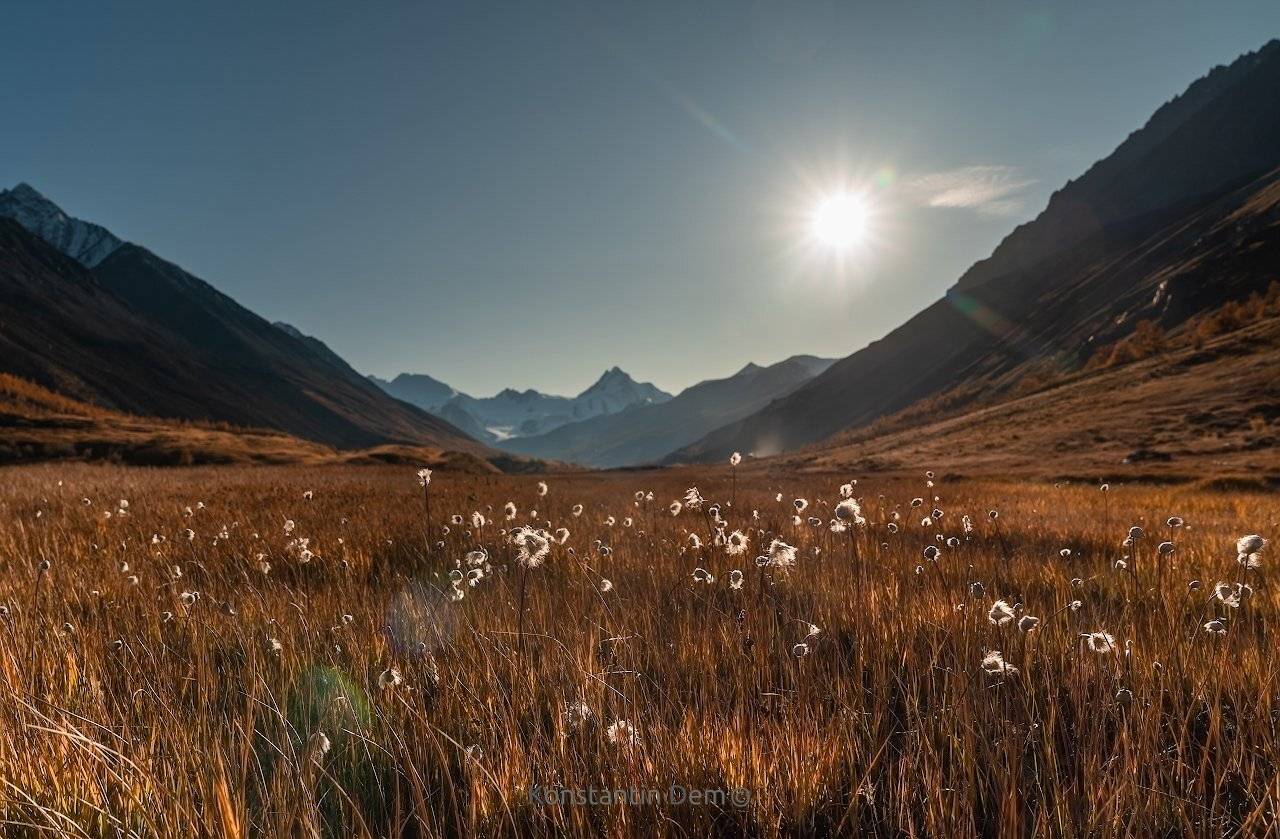 , Константин Дэм