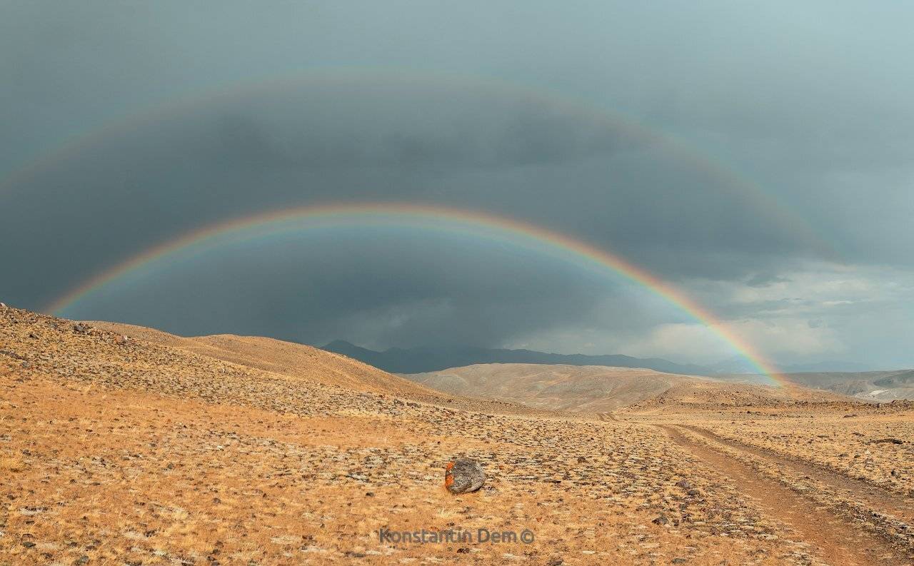 , Константин Дэм