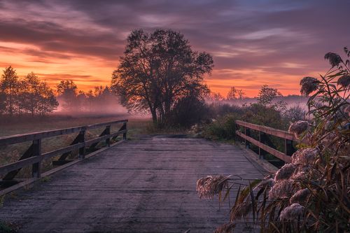 Bridge over the Jeziorka river