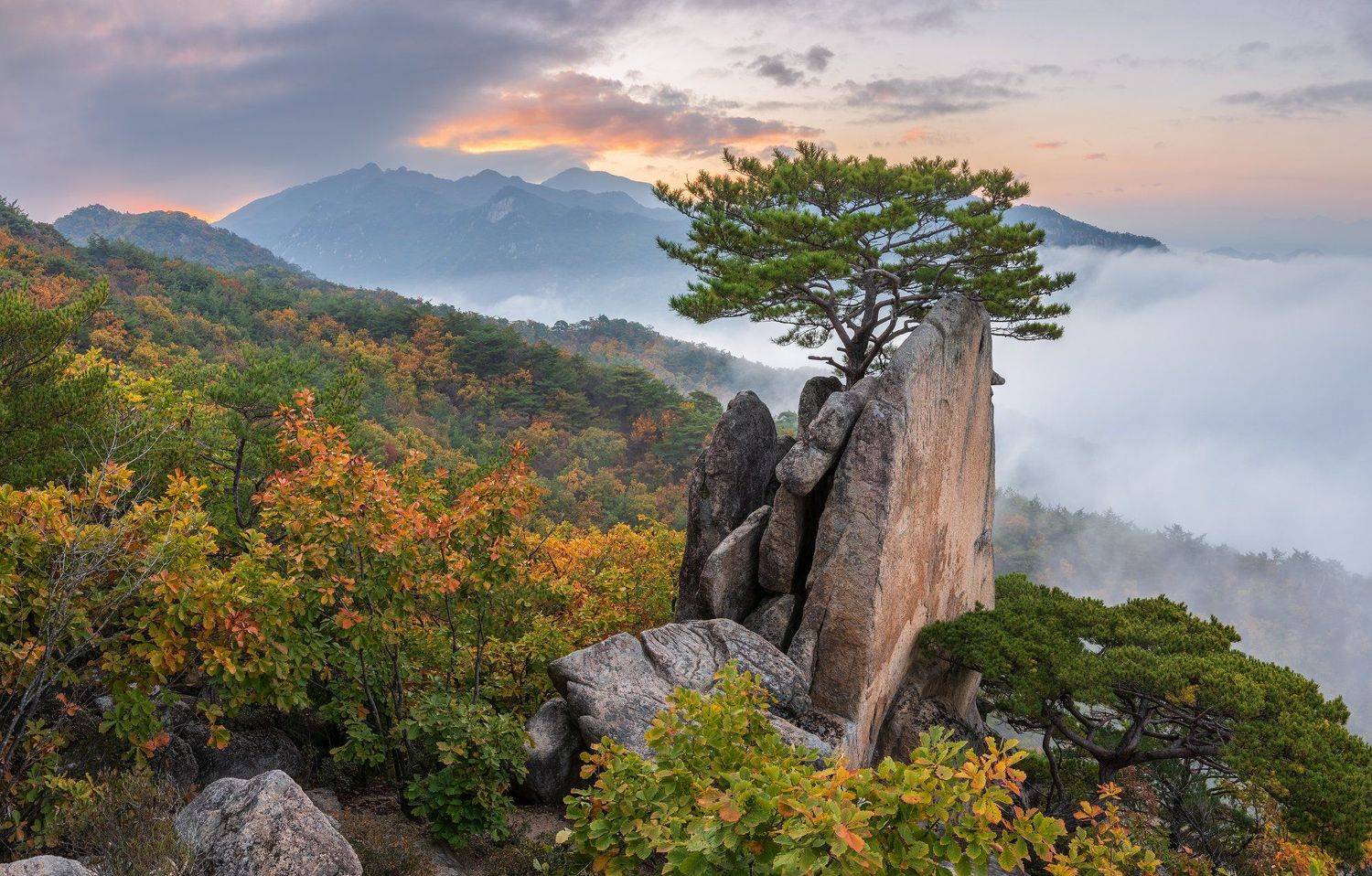 mountains,peak,hiking,fog,clouds,pine,tree,cliff, Jaeyoun Ryu