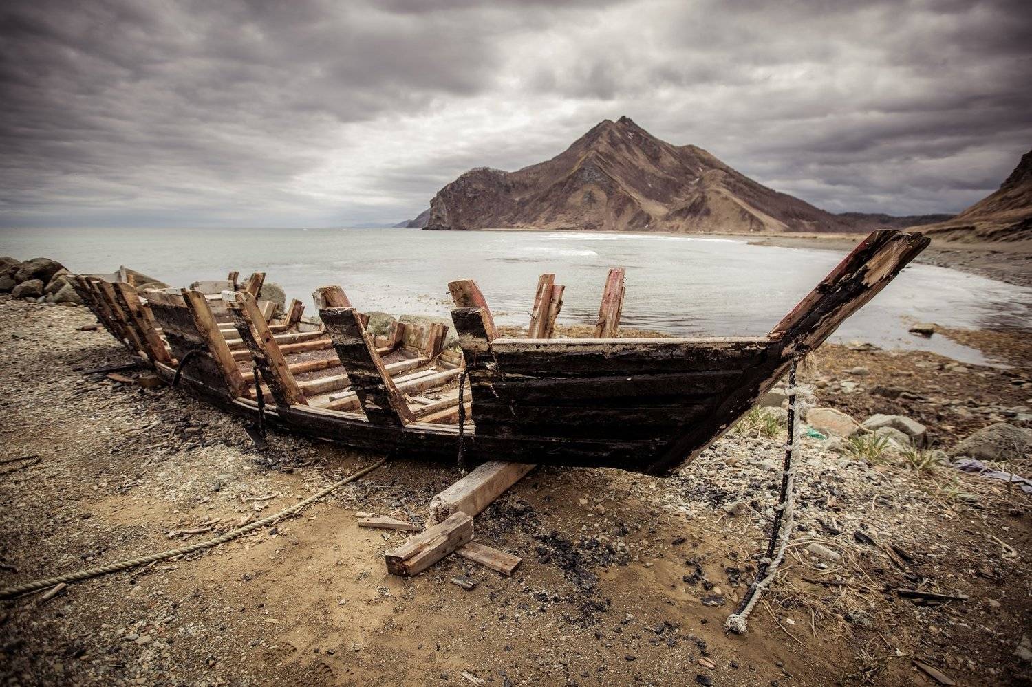 , Денис Винарь