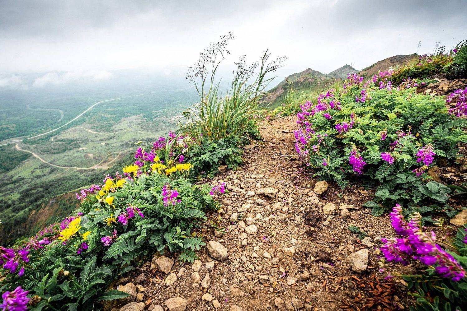 , Денис Винарь