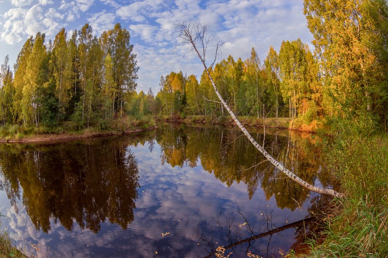 Тихий уголок фото превью