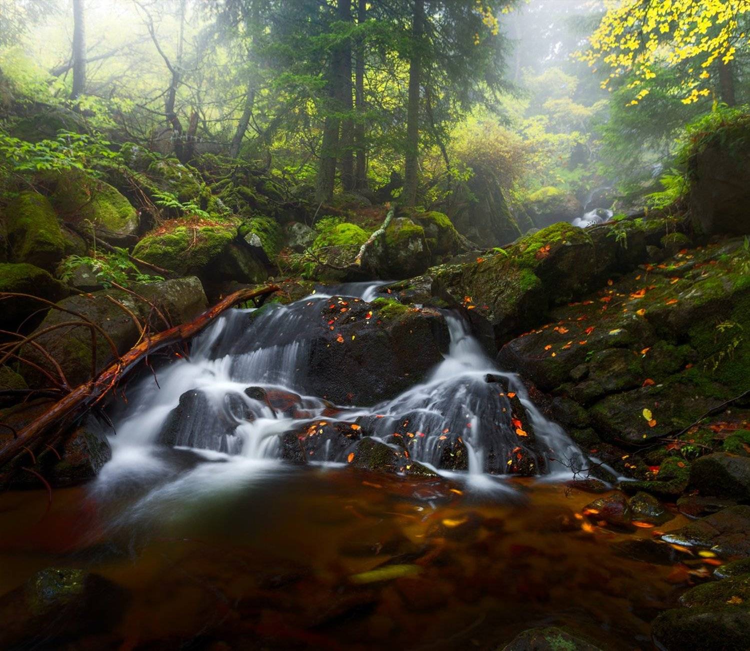landscape nature scenery forest wood  autumn mist misty fog foggy rriver waterfall longexposure mountain vitosha bulgaria туман лес, Александър Александров