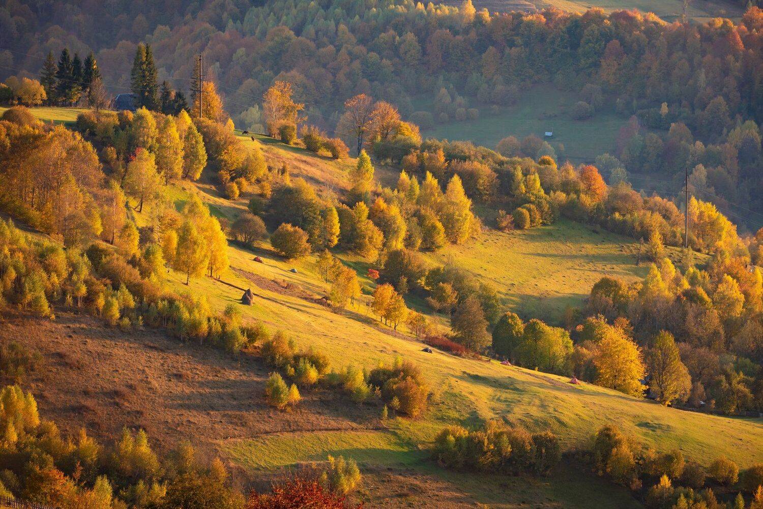 карпаты. осень, Татьяна Степанова