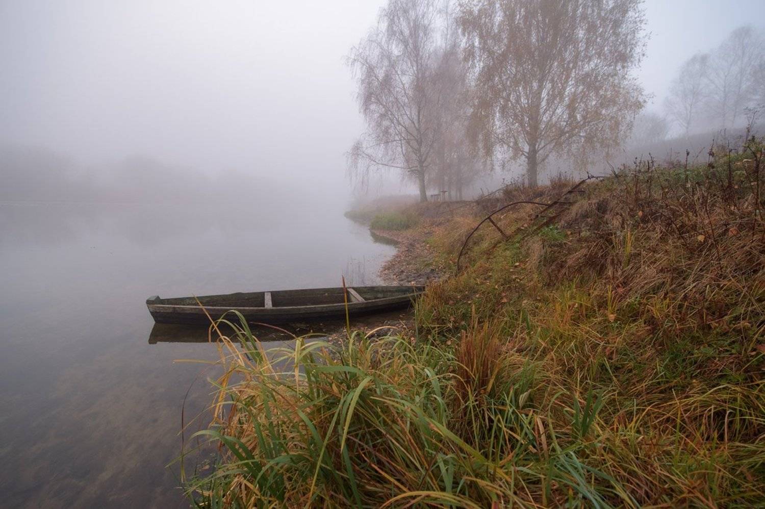 пейзаж,осень,октябрь,природа, Юлия Лаптева