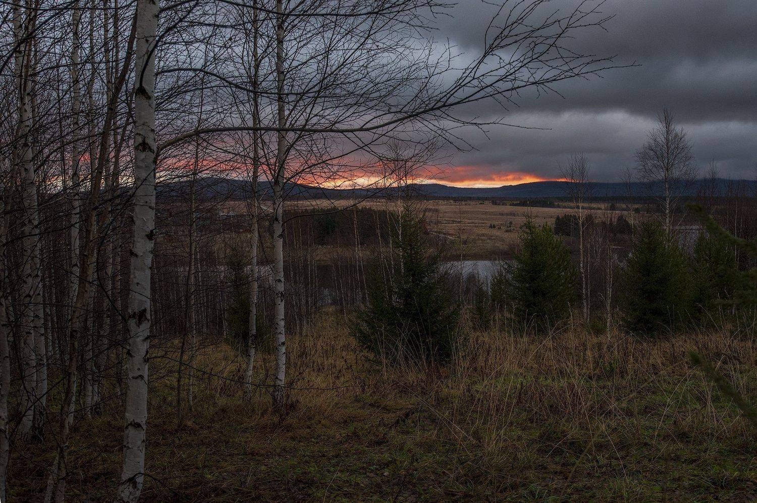 , Александр  Швачко