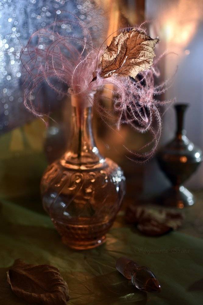 , Шипунова Ирина