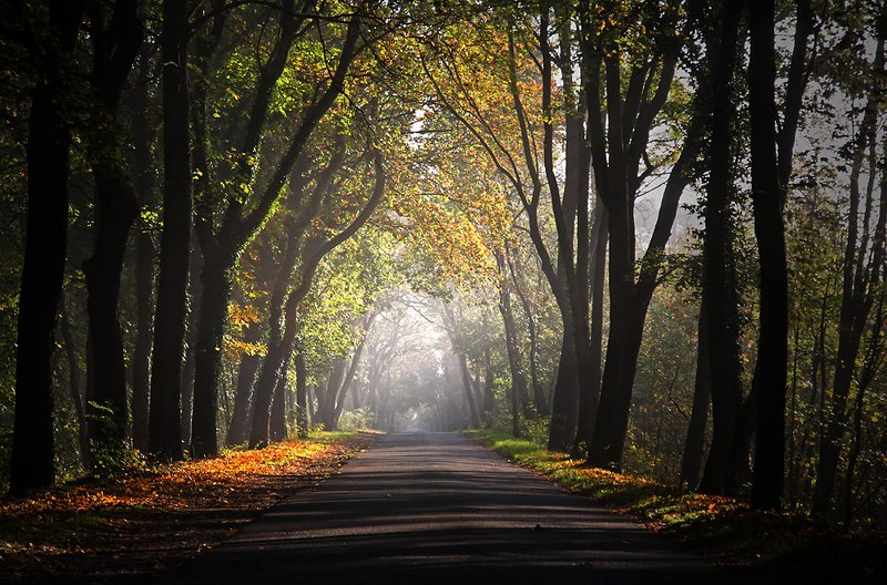 ... фото превью