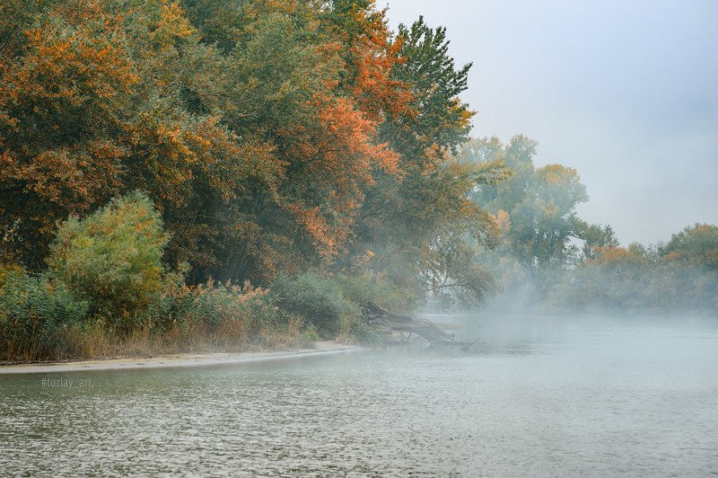 кубань, октябрь, кубанский берег, таманский полуостров, темрюк Октябрьское Кубанское 2019 фото превью