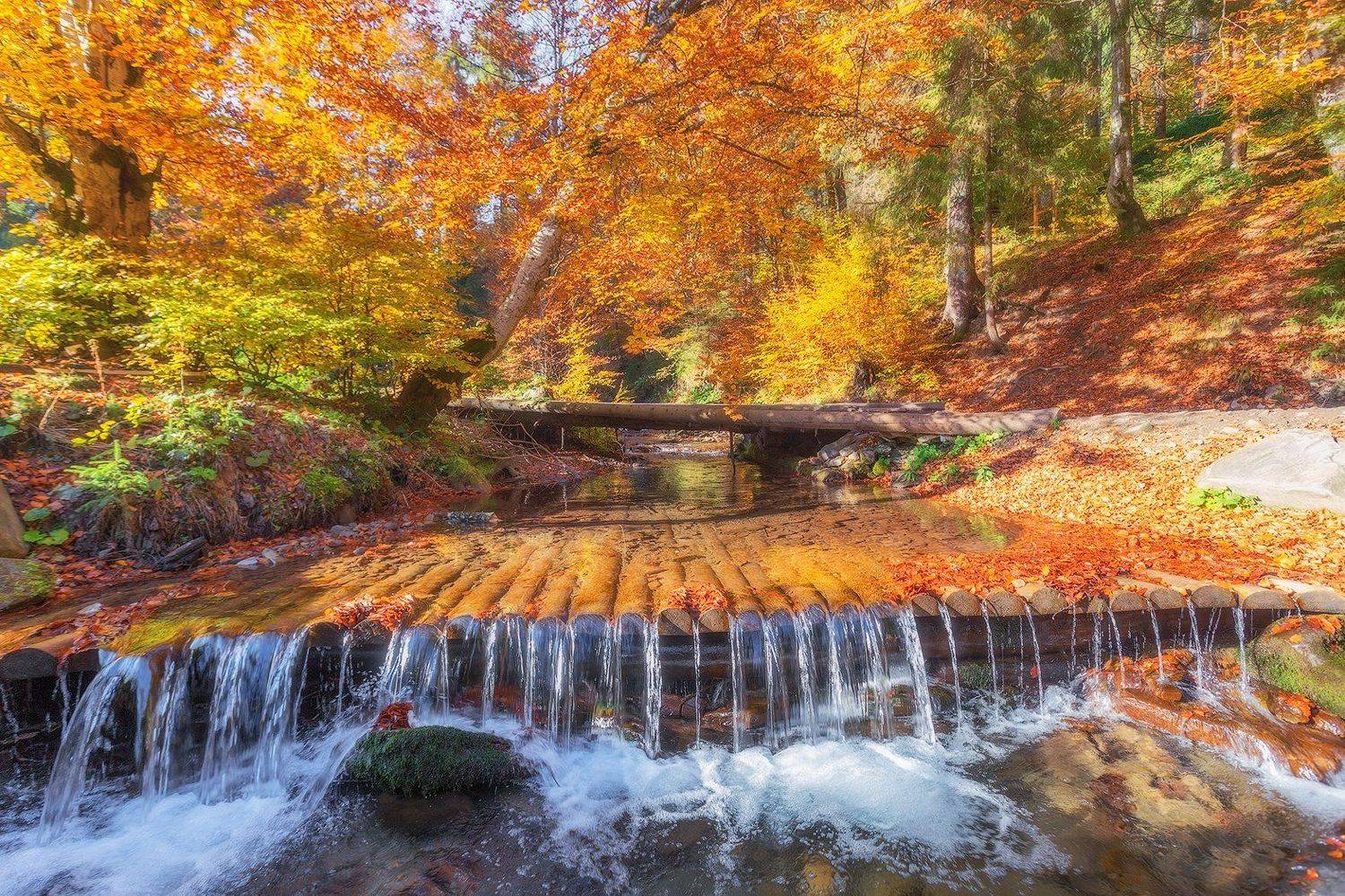 закарпатье, осень, вода, водопад, Владимир Липецких