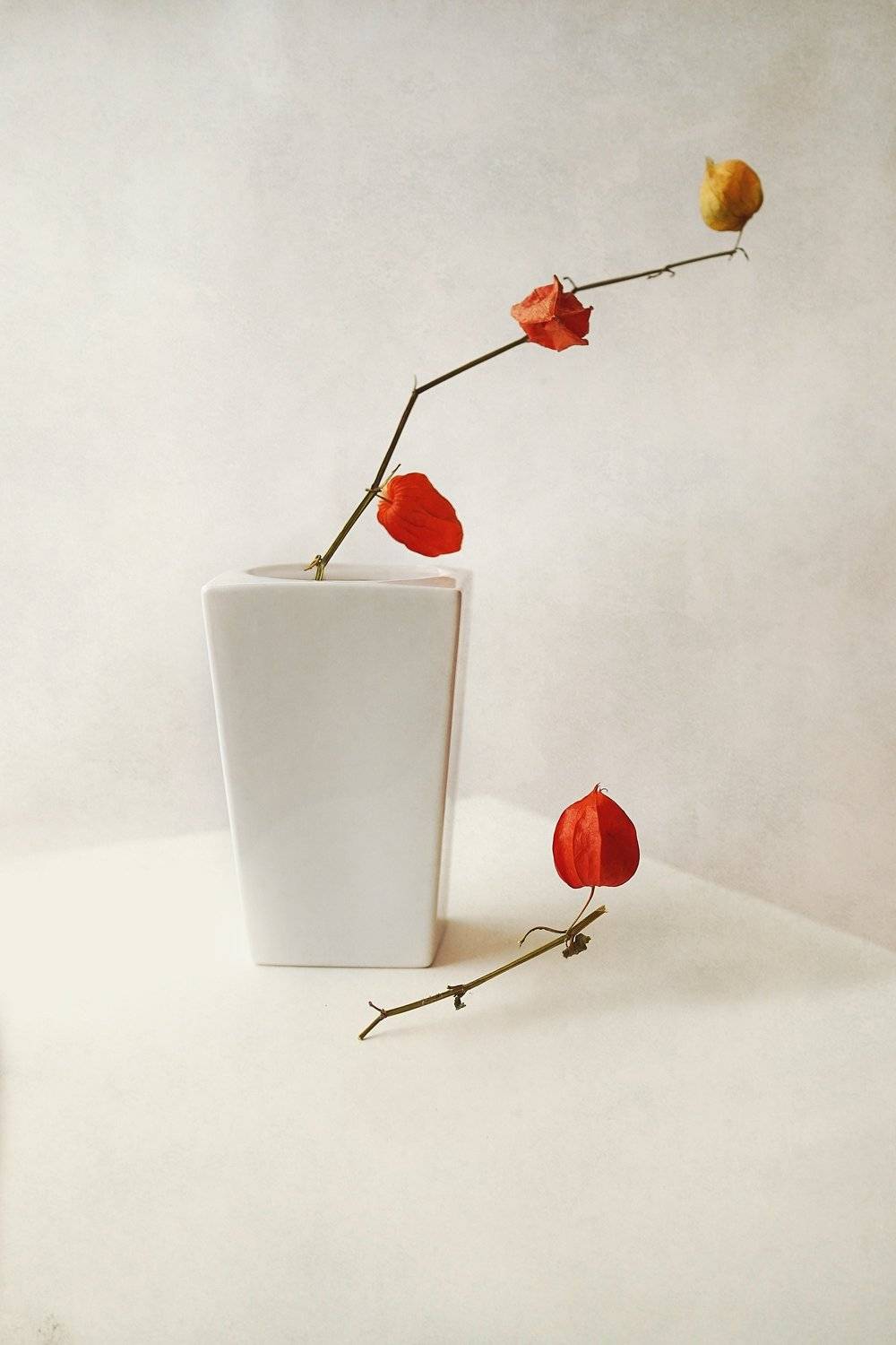 , Надежда Власова