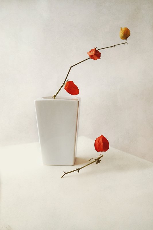 Физалис фото превью