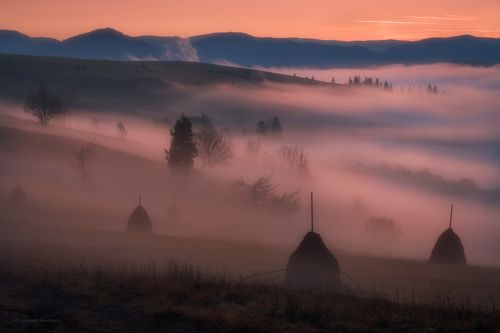 Туманно-мистические Карпаты...