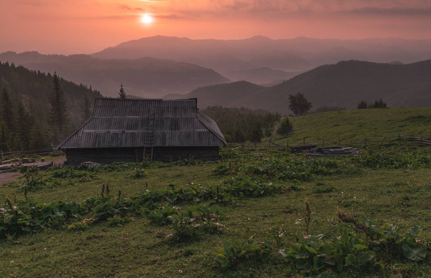 карпаты, черногорский хребет, полонина смотрич, дземброня, Зинченко Роман