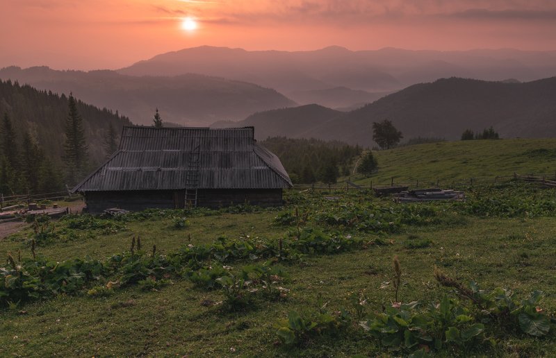 карпаты, черногорский хребет, полонина смотрич, дземброня Старая хижина фото превью