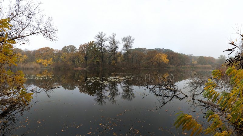 пейзаж,осень,релакс,отражение,вода,деревья,октябрь, *** фото превью