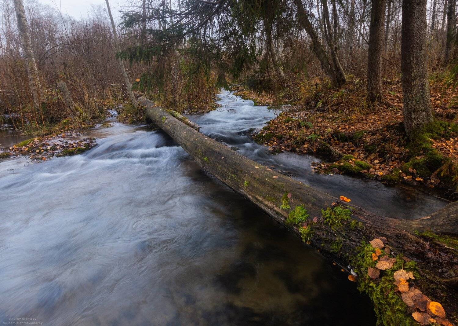 солнце, россия, рассвет, природа, подмосковье, погода, пейзажи, пейзаж, отражение, наукоград, красота, дубна, вода, весна, weather, water, spring, russia, reflection, naukograd, nature, moscow, landscape, dawn, canon, dubna, beauty, Андрей Олонцев