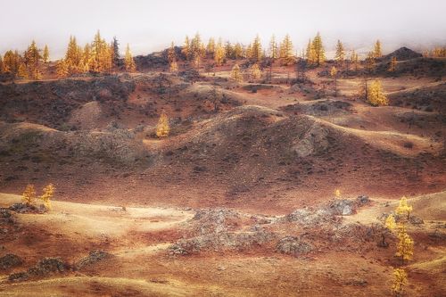 Футуристический Алтай