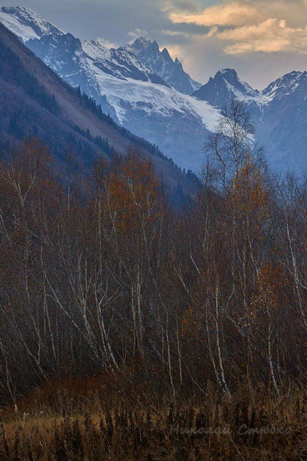 кавказ горы облака осень берёзы, Николай Стюбко