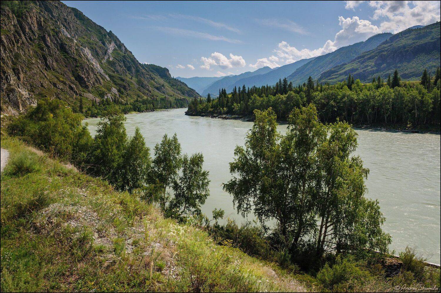 , Андрей Шумилин