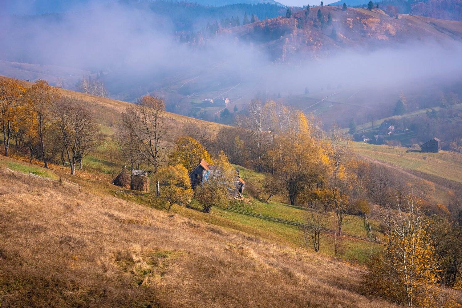 карпаты. осень. туман, Татьяна Степанова