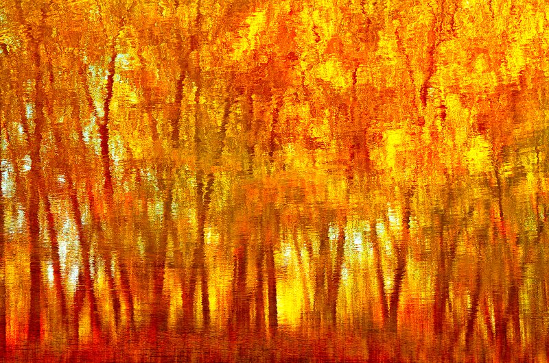 abstract, abstraction, abstract-art, art, autumn, color, colors, color-image, nature, photography, reflection, Reflected Autumn фото превью