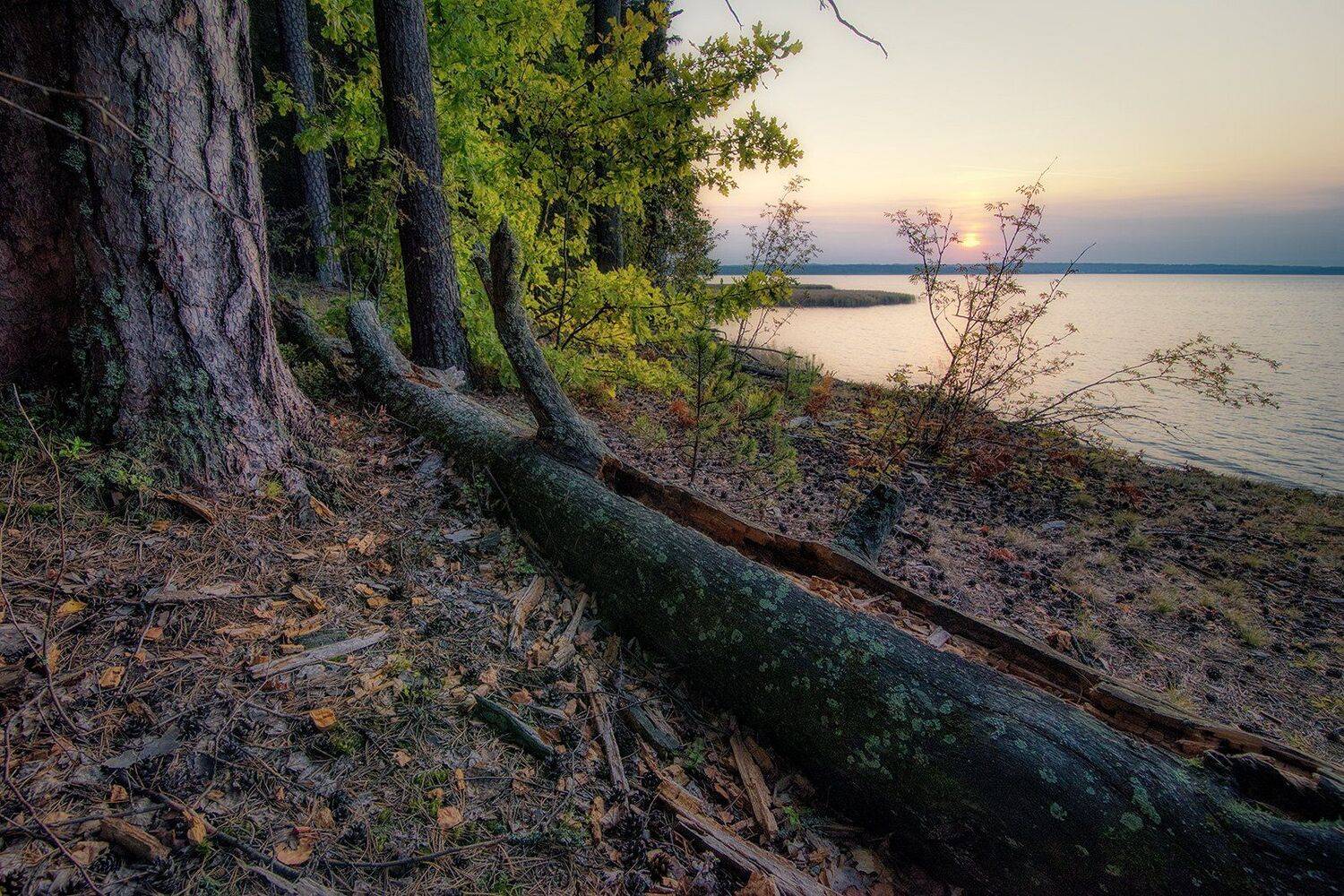 , Федотов Антон