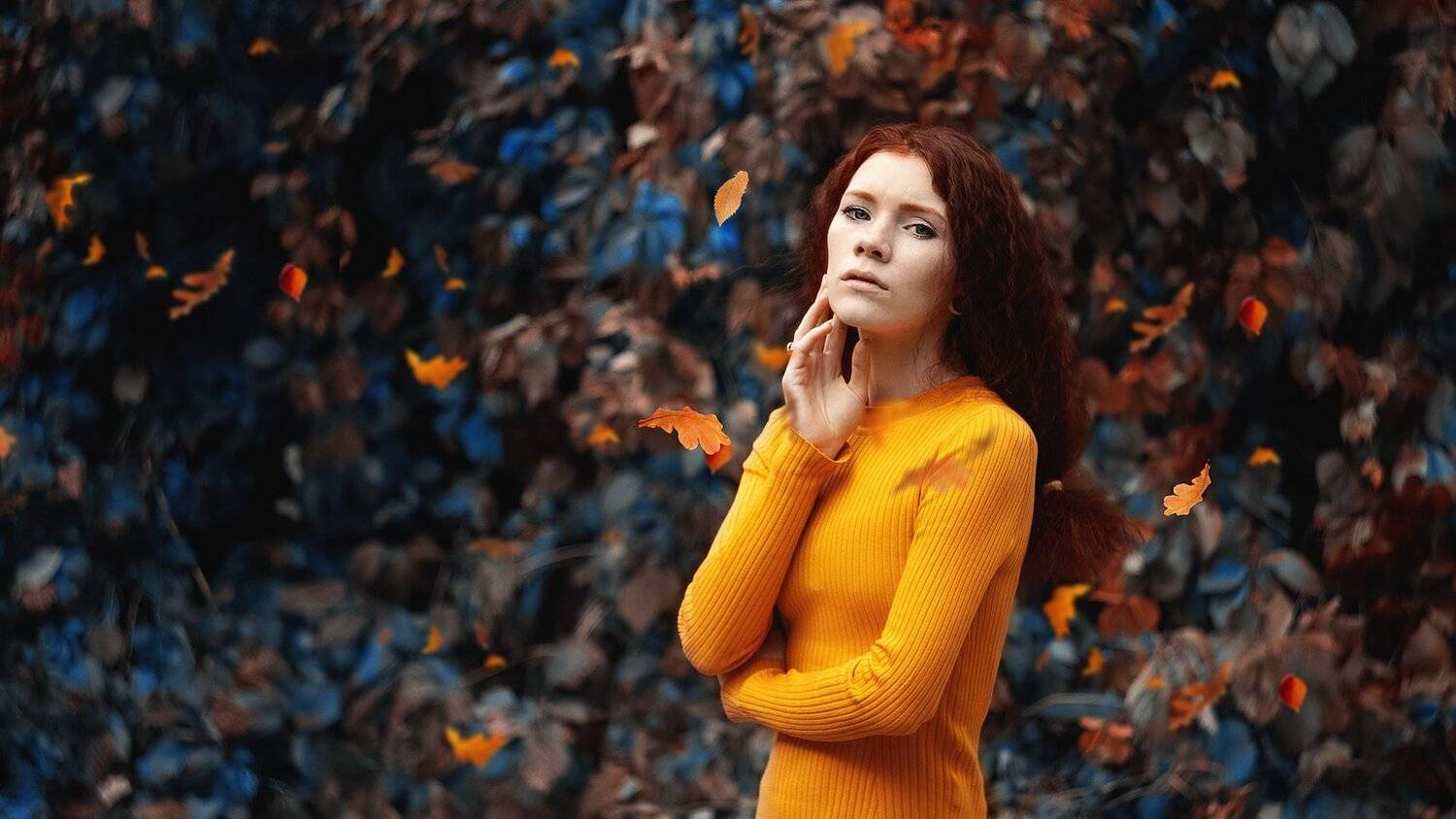 portret, Илья Александров